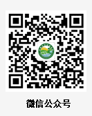 微信公眾號